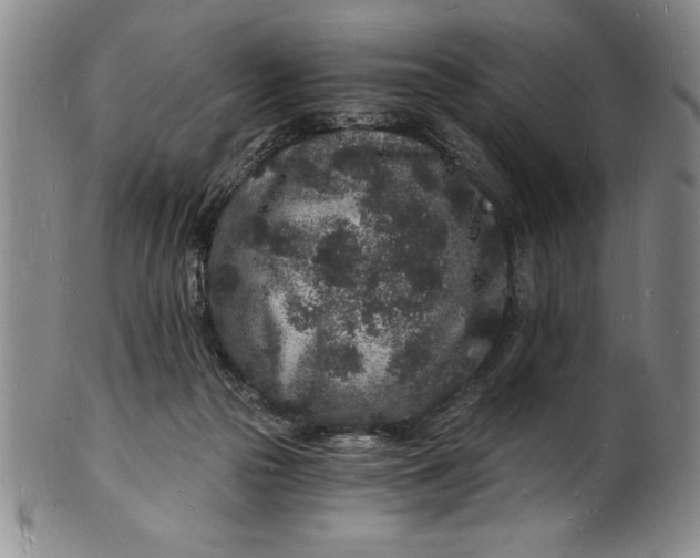 X0000102220169200808081324