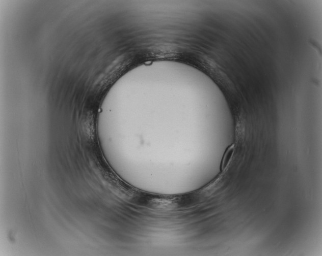 X0000102220170200808081324