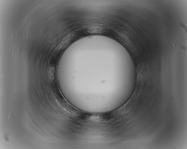 X0000102220171200808081324