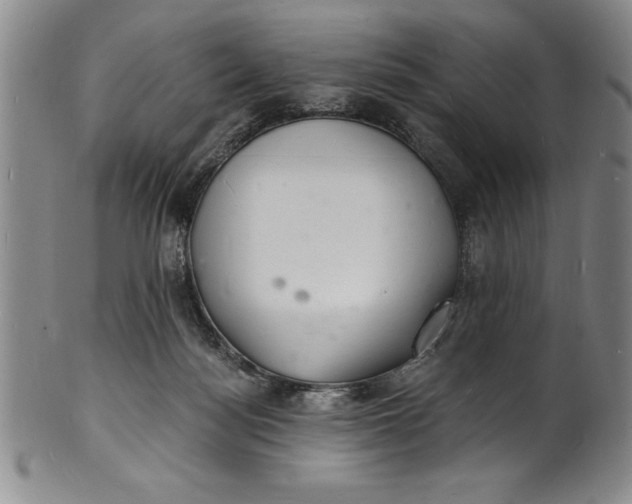 X0000102220172200808081324