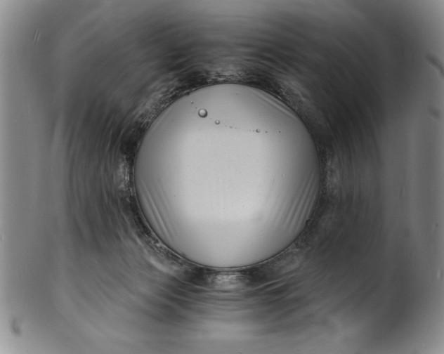 X0000102220173200808081324