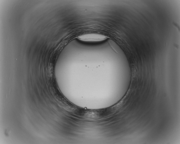 X0000102220174200808081324