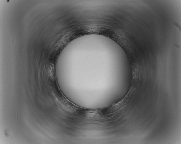 X0000102220175200808081324