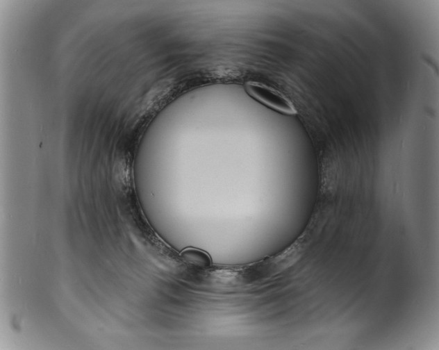 X0000102220176200808081324