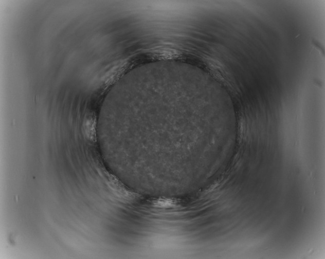 X0000102220177200808081324