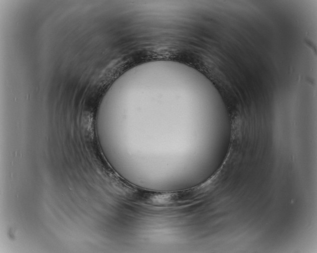 X0000102220178200808081324