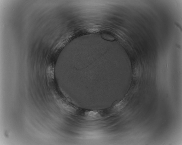 X0000102220180200808081324