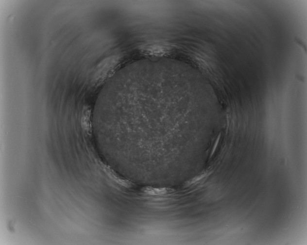 X0000102220181200808081324