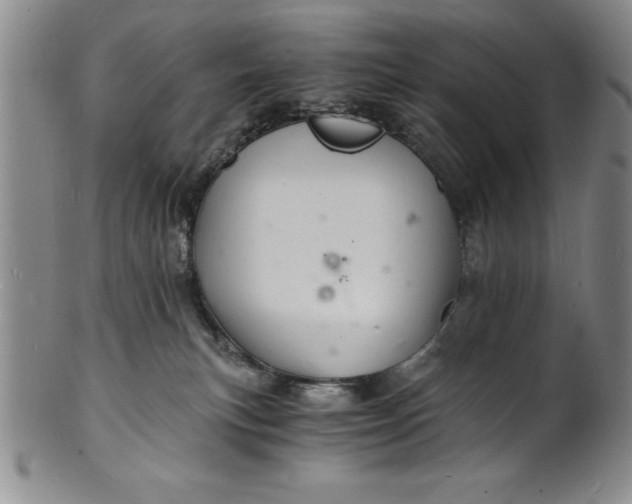 X0000102220183200808081324