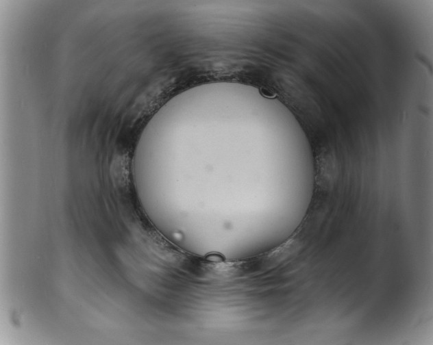 X0000102220184200808081324