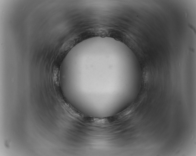 X0000102220185200808081324