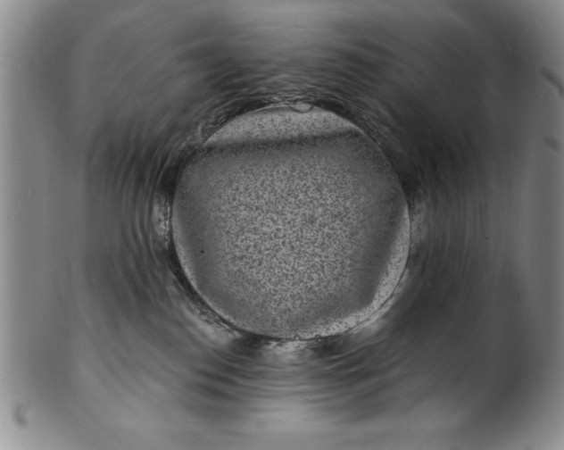 X0000102220186200808081324