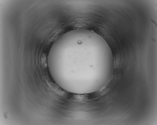 X0000102220187200808081324