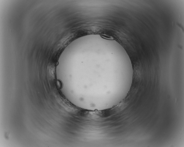 X0000102220188200808081325