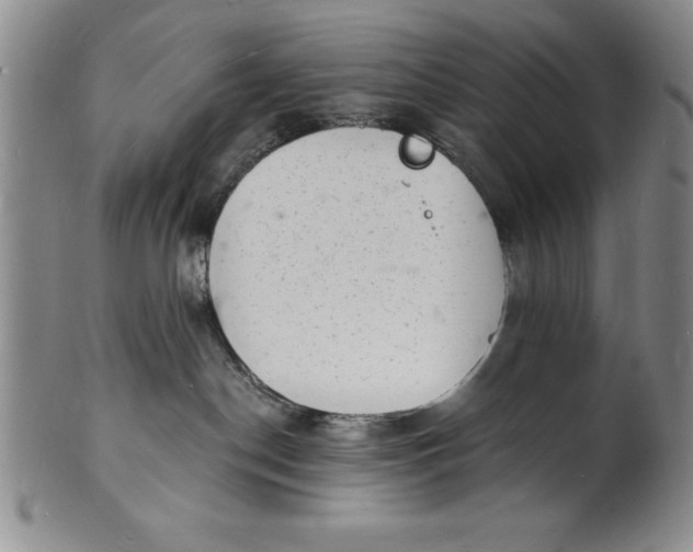 X0000102220190200808081325