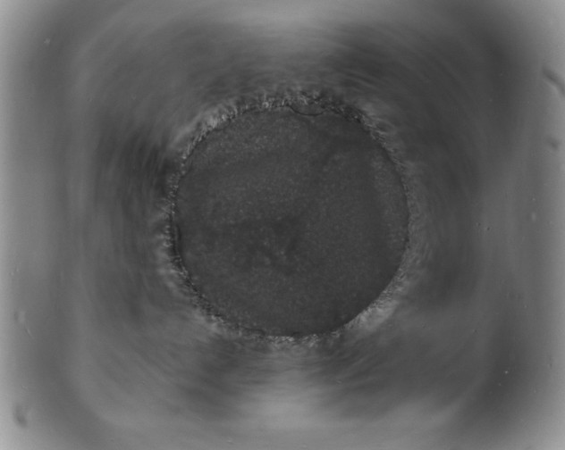 X0000102220192200808081325