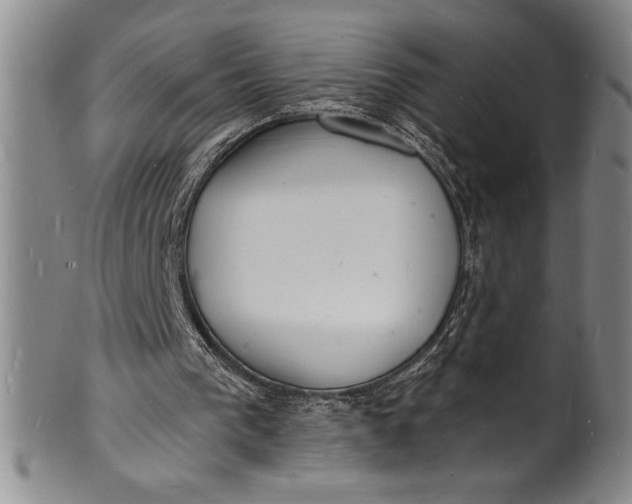 X0000102220193200808081324