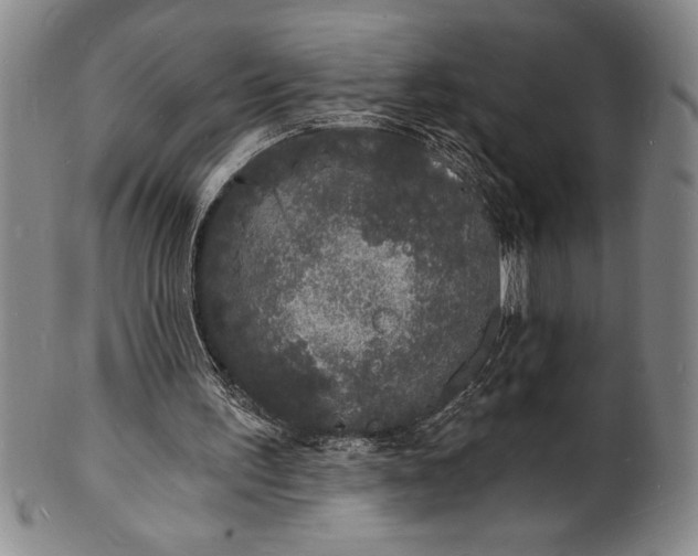 X0000102220195200808081324