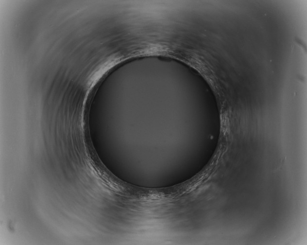 X0000102220196200808081324