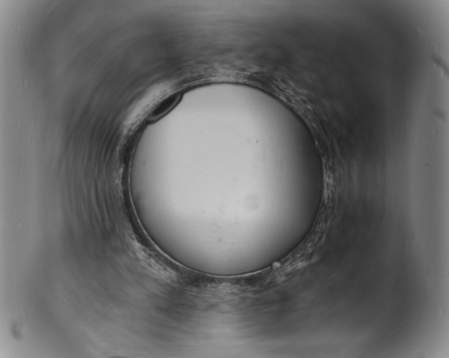 X0000102220197200808081324