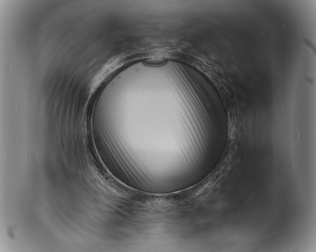 X0000102220198200808081324