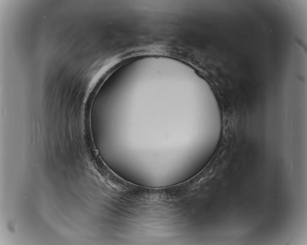 X0000102220200200808081324