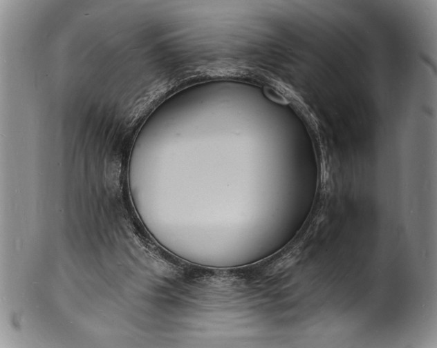 X0000102220201200808081324