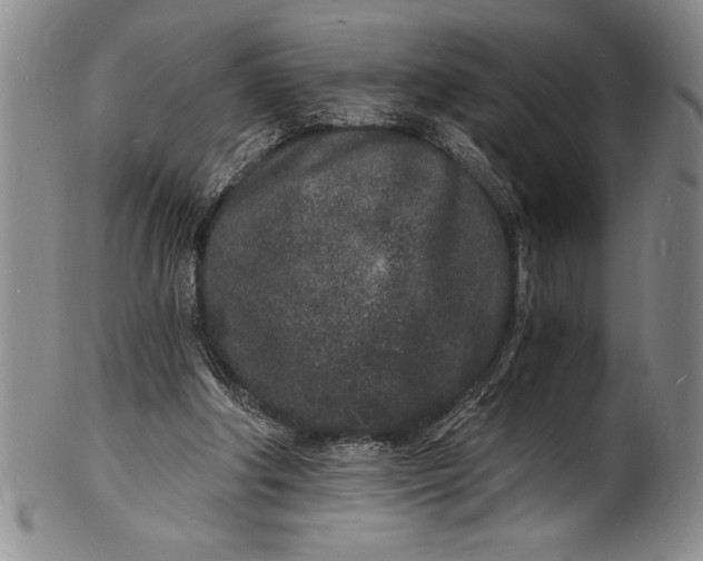 X0000102220202200808081324