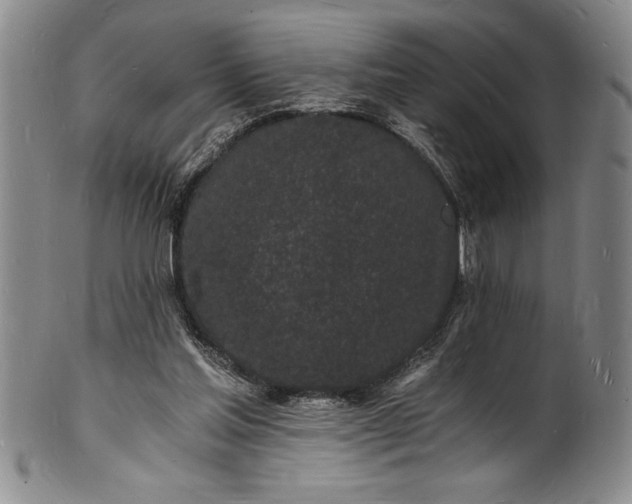 X0000102220205200808081324