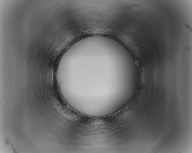 X0000102220206200808081324