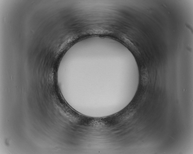 X0000102220207200808081324