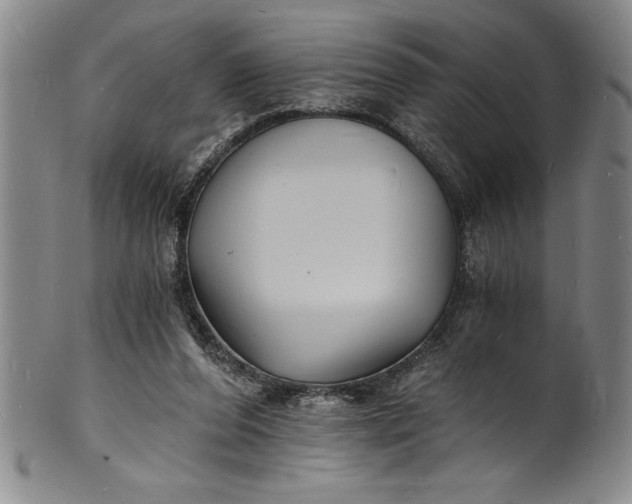 X0000102220208200808081324