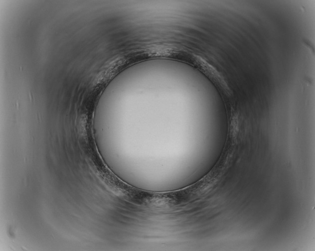 X0000102220209200808081324