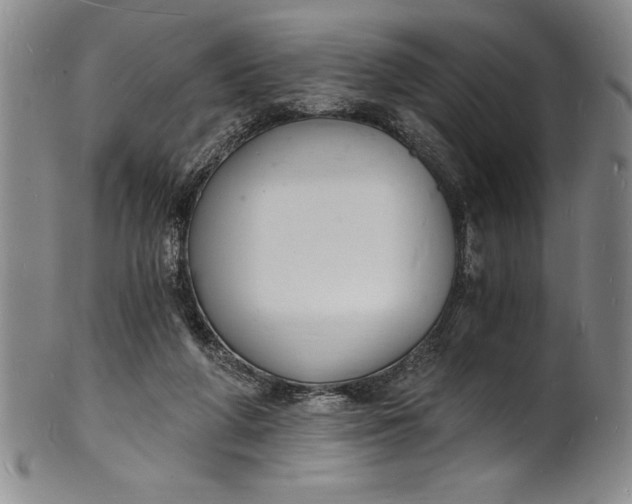 X0000102220210200808081324