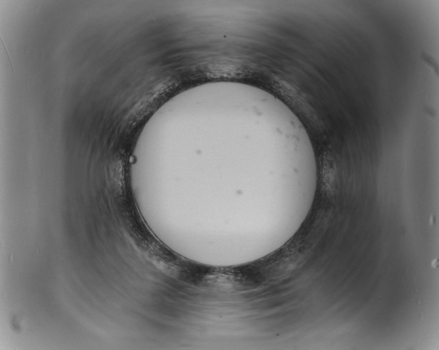 X0000102220211200808081324