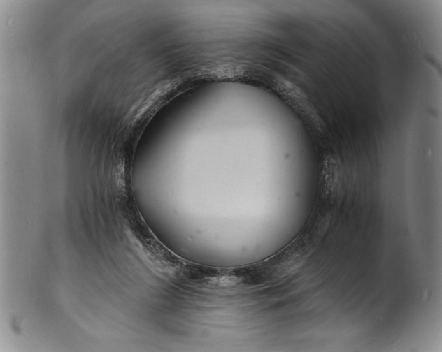 X0000102220212200808081324