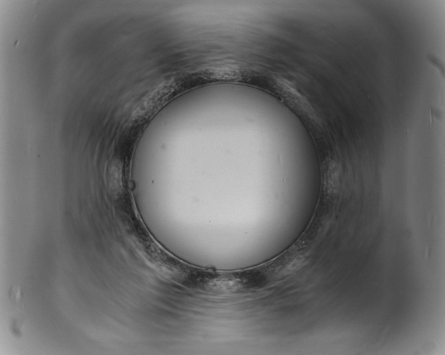 X0000102220213200808081324