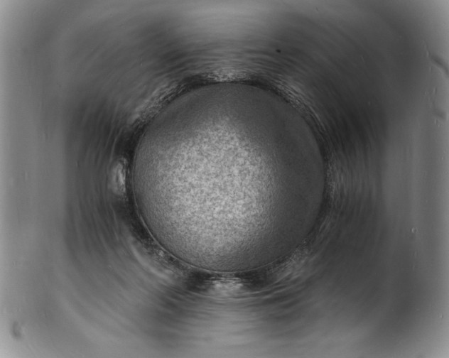 X0000102220214200808081324