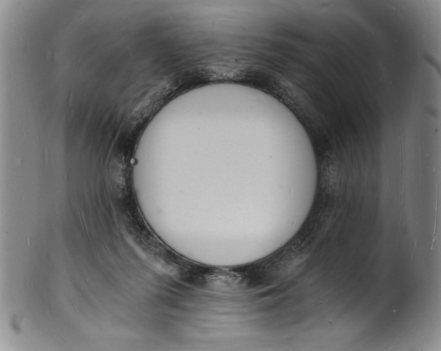 X0000102220215200808081324