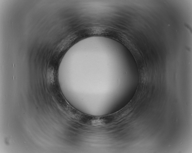 X0000102220216200808081324