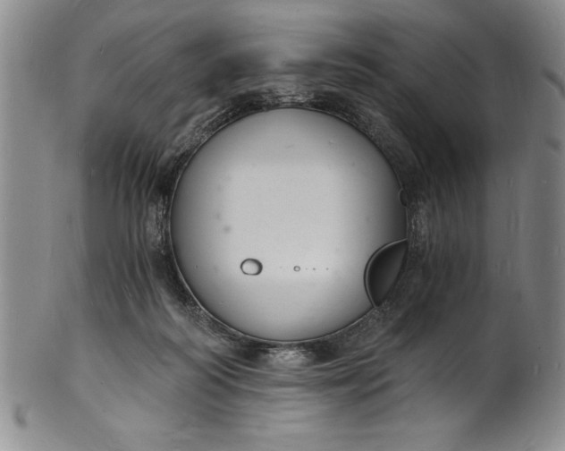 X0000102220218200808081324