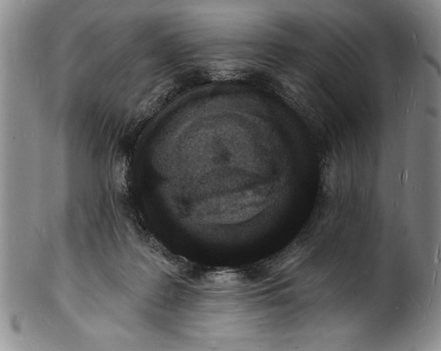 X0000102220219200808081324