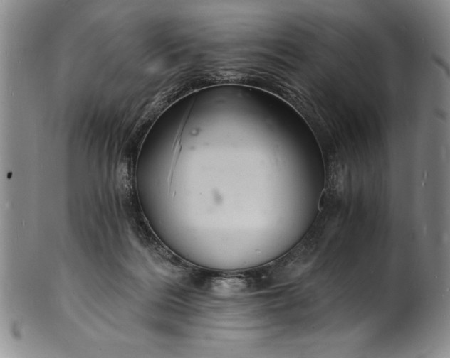 X0000102220220200808081324