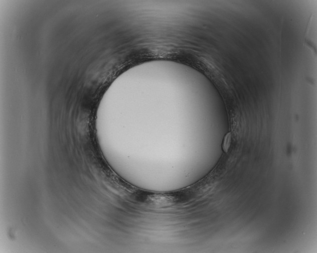 X0000102220221200808081324