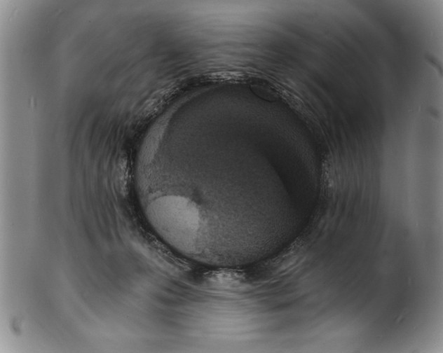 X0000102220223200808081323