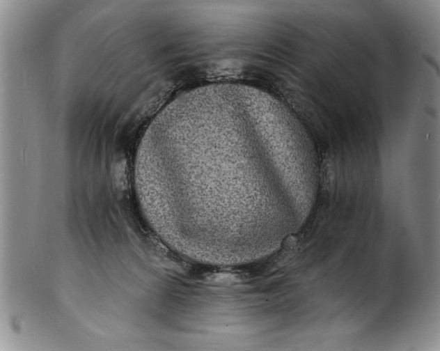 X0000102220224200808081323