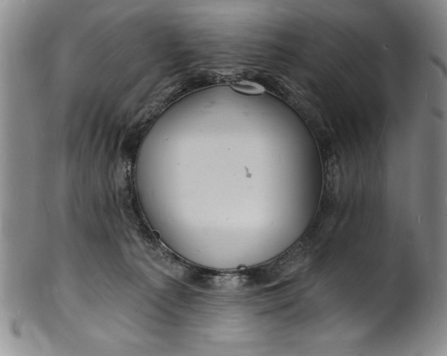 X0000102220225200808081323