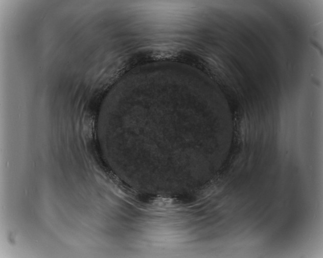 X0000102220227200808081323