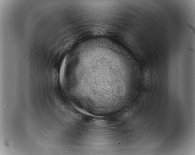 X0000102220228200808081323