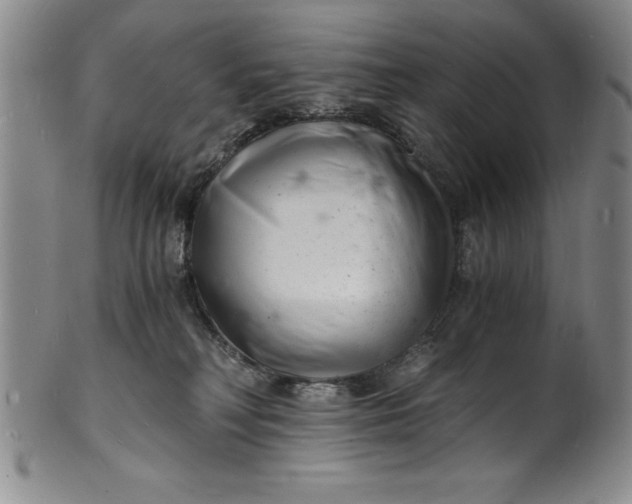 X0000102220230200808081323